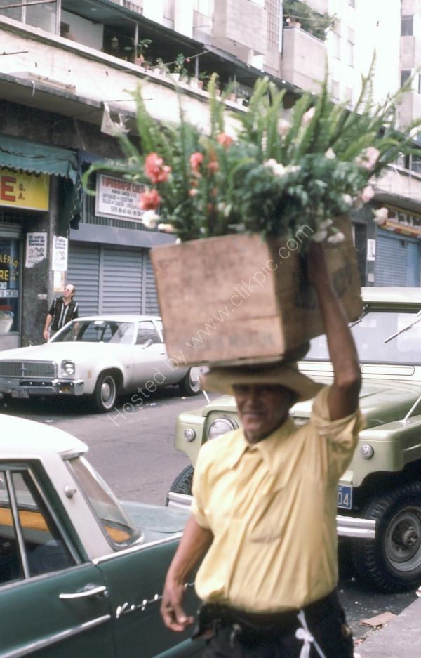 Flower Seller, Caracas